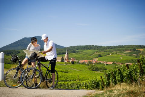 Balade a vélo dans le vignoble