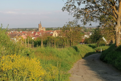 ©Tourisme Eguisheim Rouffach